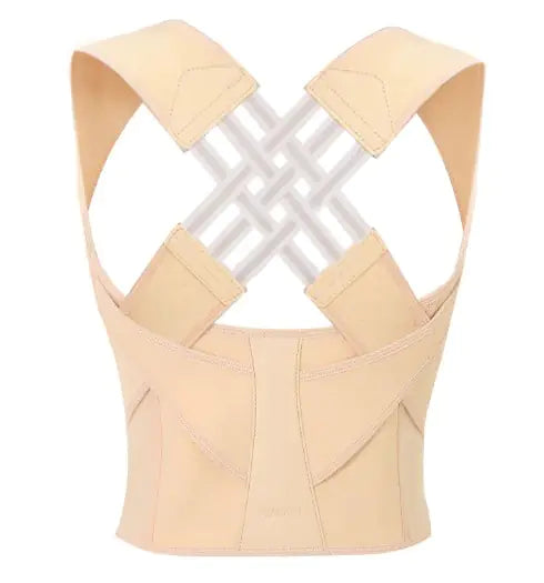 Optomas SpineSupport V.1