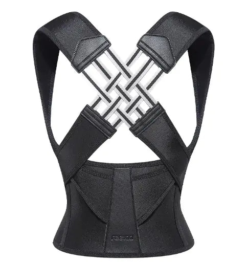 Optomas SpineSupport V.1