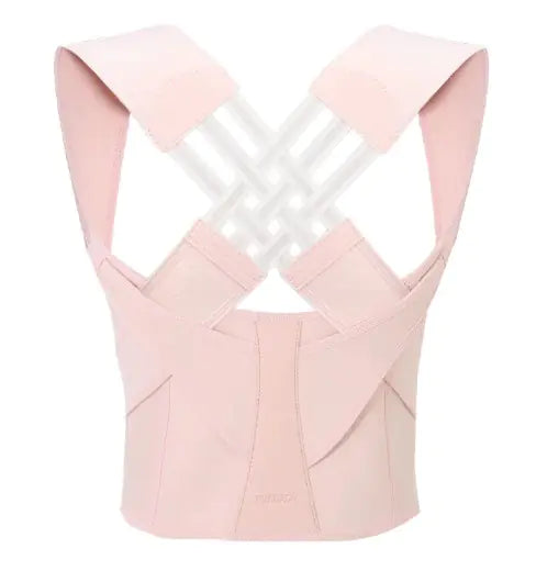 Optomas SpineSupport V.1